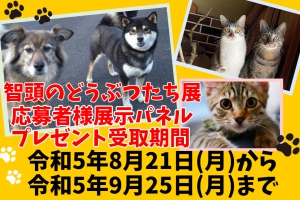 智頭のどうぶつたち展写真展部門